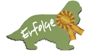 Erfolge Titel Erfolge Titel