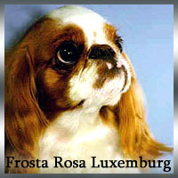 Frosta-Rosa-Luxemburg Frosta-Rosa-Luxemburg