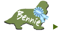 Bennie - mehr erfahren