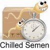 Chilled-Semen