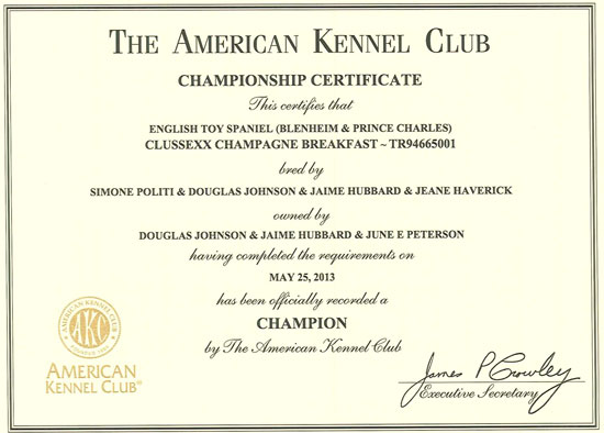 Bennie-AKC-Championship-1