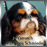 Yanusch-zur-alten-Schmiede Yanusch-zur-alten-Schmiede