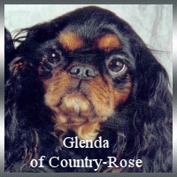 glenda glenda