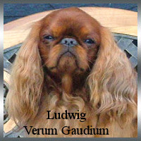 ludwig_ahnen ludwig_ahnen