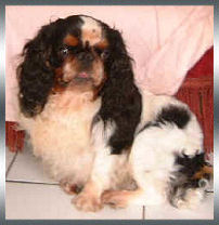 rossbonny_henley rossbonny_henley